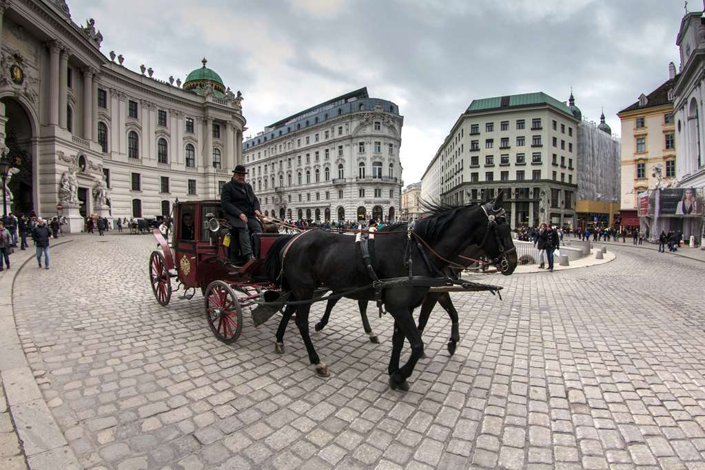 Hotel Calmo Vienna Amenities photo